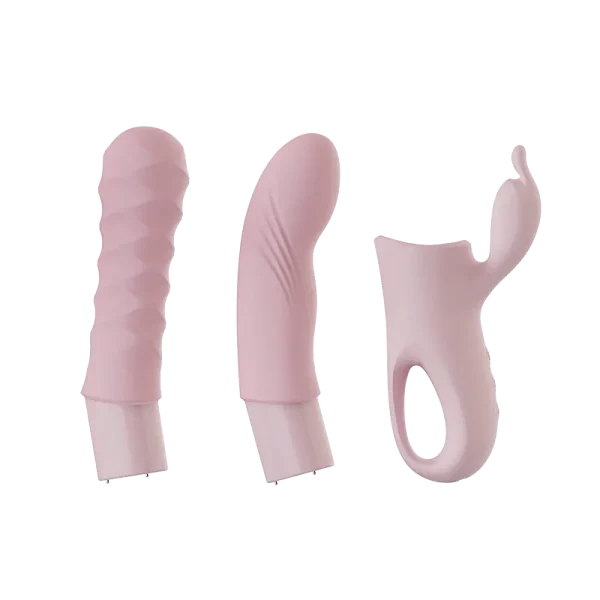Dildos – Removable dildo set (QS-077) - Image 5