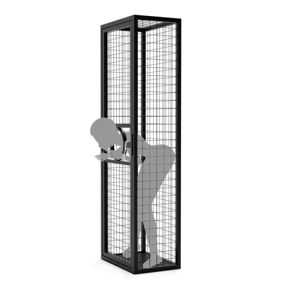 Sex Appartments - Roomfun Prisoner's Cage Standing Cage (ZW-045) - Image 3
