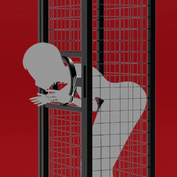 Sex Appartments - Roomfun Prisoner's Cage Standing Cage (ZW-045) - Image 6