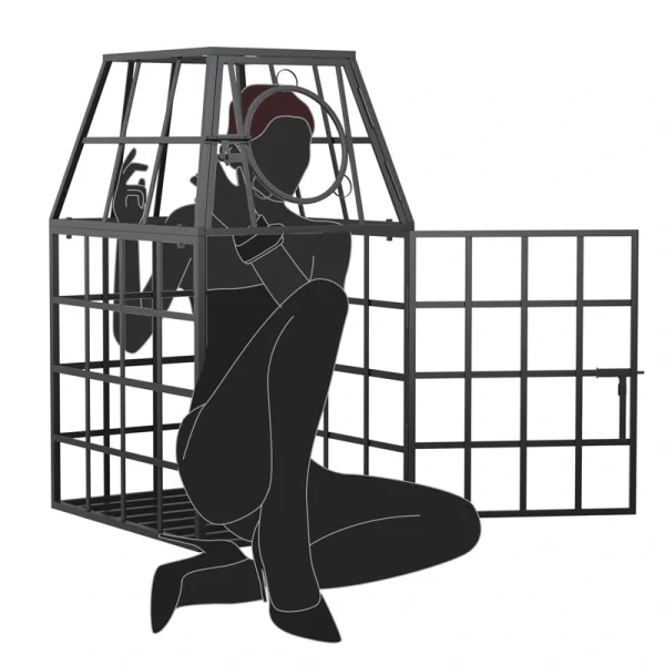 Sex Appartments - Roomfun Taming cage (ZW-118) - Image 4