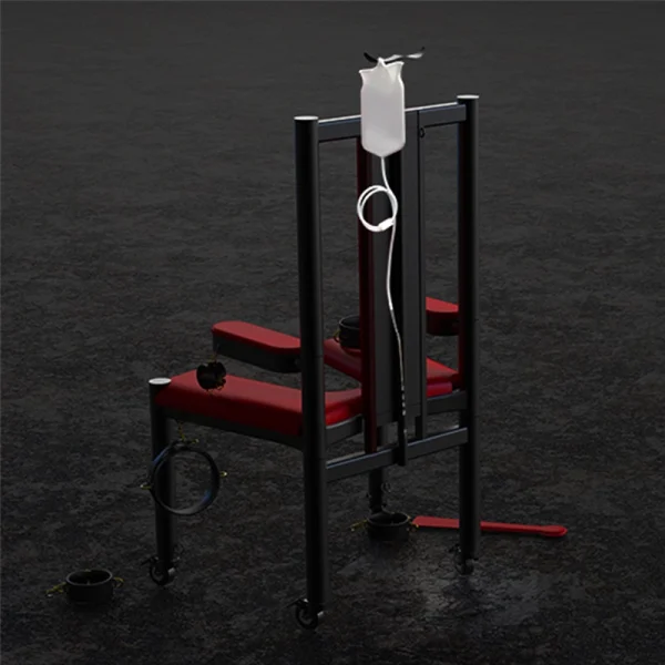 Sex Appartments - Roomfun Torture Chair (ZW-049) - Image 17