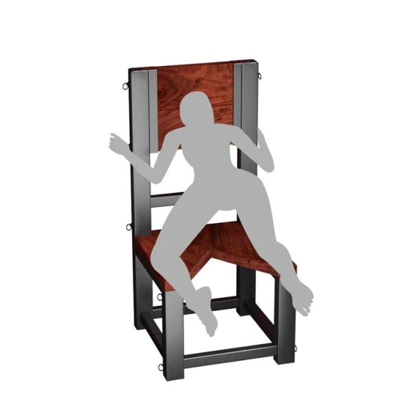 Sex Appartments - Roomfun Torture Chair (ZW-102) - Image 10