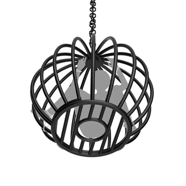 Sex Appartments - Roomfun pumpkin cage hanging cage(ZW-042) - Image 2